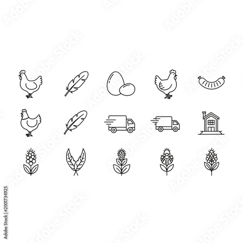 Poultry Farm Line Icon Set Chicken Egg Vector Symbols