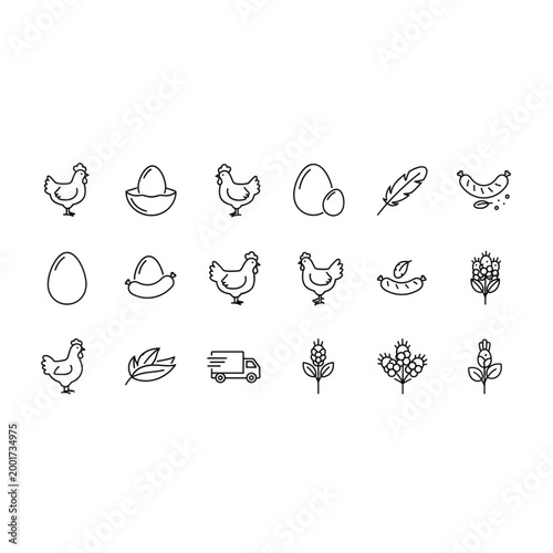 Poultry Farm Line Icon Set Chicken Egg Vector Symbols