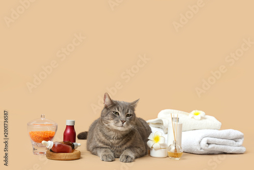 Spa composition and cute gr...