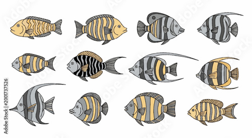 School of Colourful Striped Fish.