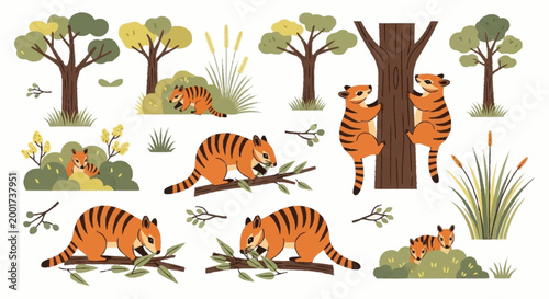 Tigers in forest habitat scene.