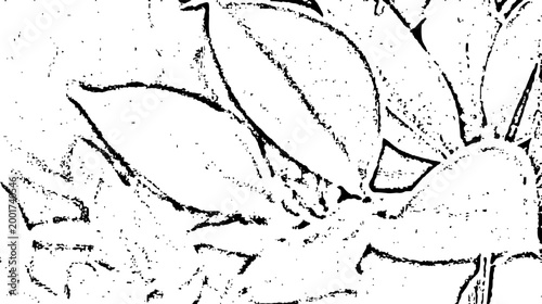 black and white flower illustration 