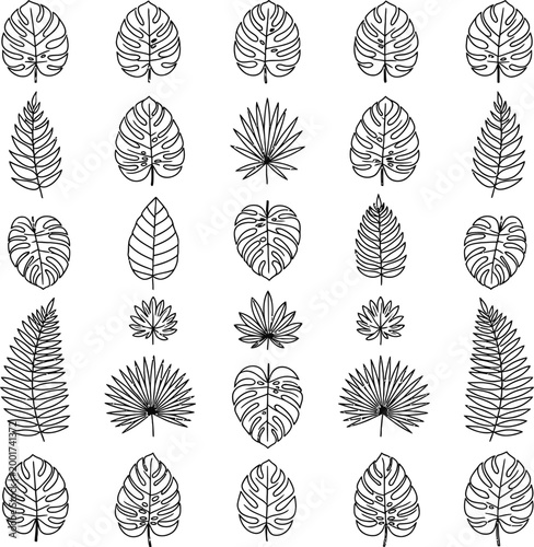 Tropical leaf icons collection with hand drawn with white backgr
