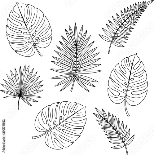 Tropical leaves hand drawn sketch with line drawing