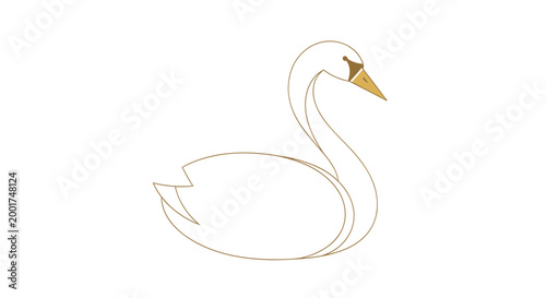 Swan Bird White Animal.