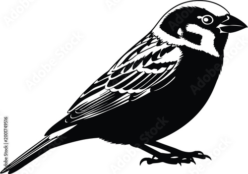 Vintage sparrow silhouette a detailed black and white illustration