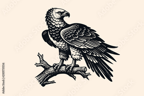 Majestic eagle perched on branch vector illustration with bold feathers, sharp beak and vintage line art