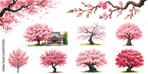 Japanese cherry blossom tree collection with sakura branches and traditional temple, beautiful pink spring flowers watercolor illustration set isolated on white background for graphic design.