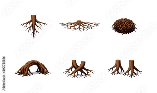 Set of illustrated tree stumps and exposed root systems, including tangled roots, branching rhizomes, and a root ball, isolated on white background