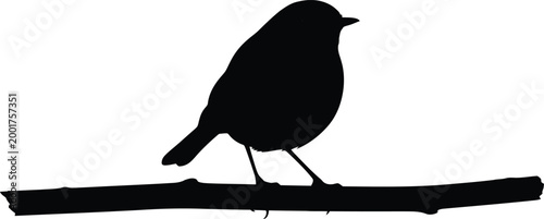 Bird silhouette perched on a branch a minimalist black and white image