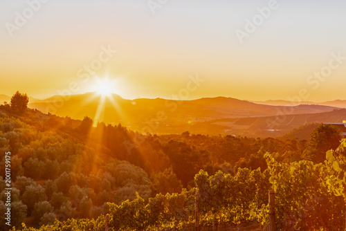 Amazing early sunset seen from the famous vineyards of the Delaire Graff estate of the Stellenbosch region, a city close to Cape Town. With winelands as far as you can see against a spectacular backdr