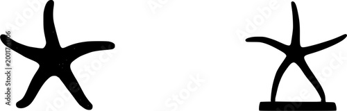 A stunning black ceramic starfish shelf figurine with intricate detailing stands gracefully on a white surface, adding a touch of coastal charm to any display