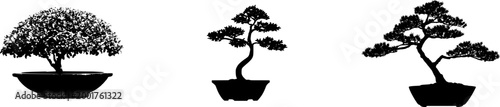 This exquisite ceramic bonsai pot features an elegantly shaped tree with lush green foliage, perfectly suited for indoor or outdoor display