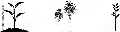 A split bamboo wooden plant stake with fresh green leaves thriving from the top, set against a minimalist white background to highlight its natural elegance