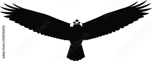 Silhouette of a raven with a castle on its back