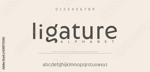 Ligature, Stylish elegant vector composite font serif. set of letters English alphabet. uppercase letters, lowercase letters and numbers 
