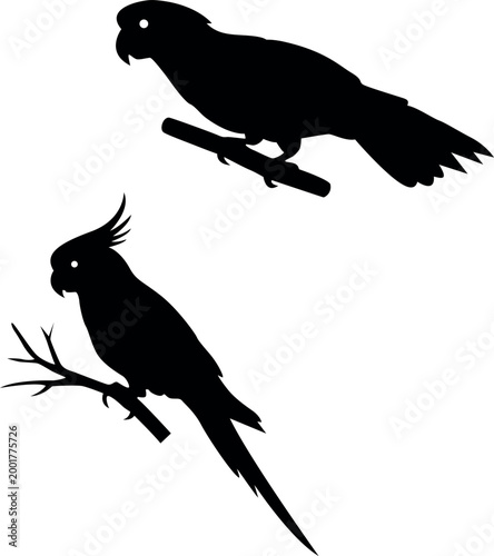 Parrot silhouettes on branches against white background