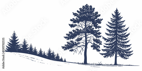 Silhouette illustration of a forest edge with tall coniferous trees on a hill silhouette landscape woodland evergreen outdoors botanical wilderness environment illustration minimalist