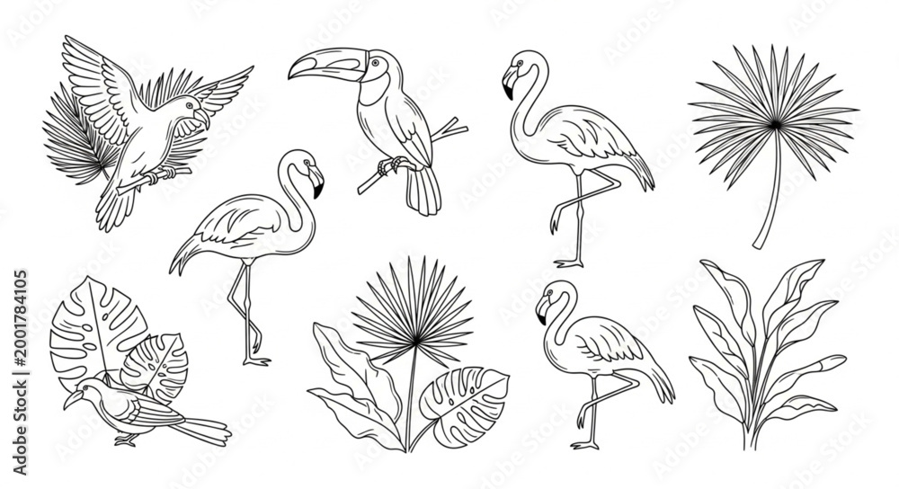 Obraz premium Collection of Tropical Birds and Plants Hand Drawn Sketch.