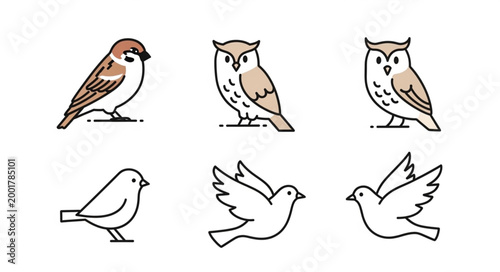 Schilderij op canvas Collection of six stylized bird illustrations on white background