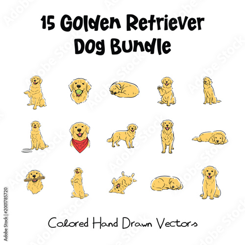 Dog_Golden_Retriever - ORIGINAL