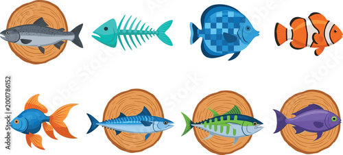 Set of colorful fish including salmon clownfish tuna goldfish tropical and fishbone on wooden board isolated on white background flat style vector illustration