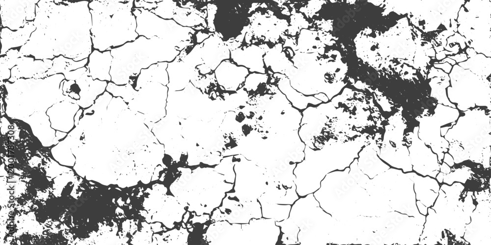 Obraz premium Black and White Grunge Cracked Surface Texture Vector Background