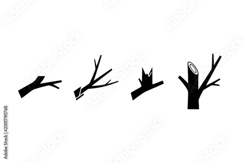 Tree Branch Growth Stages