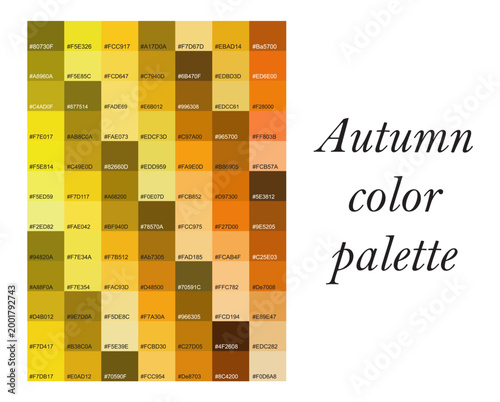 Warm Autumn Color Palette Swatches for Graphic Design and Branding with hex codes