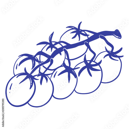 hand-drawn tomatoes on a vine, isolated on white background, ideal for food, gardening, harvest, agriculture, nutrition, and simple design projects