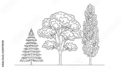 Photos 2D AutoCAD illustration of a serene landscape with trees drawn