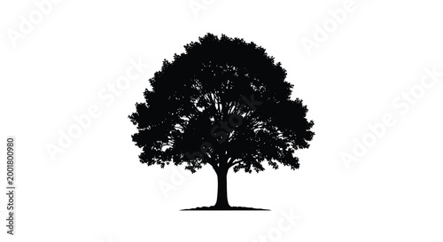 tree silhouette on white background high quality professional