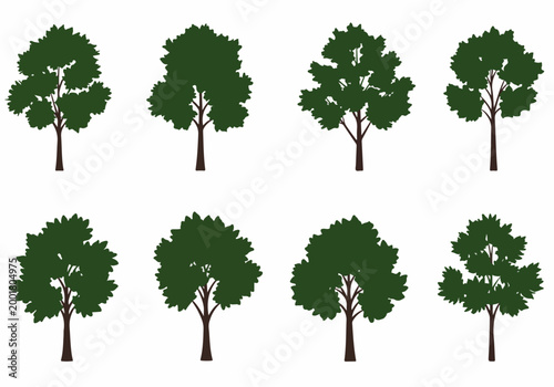 Set of eight deciduous green tree silhouettes with various canopy shapes isolated on a white background