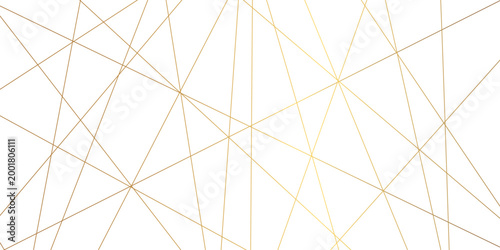 Abstract line background. abstract black lines with white background creative and geometric shape with white luxury pattern and paper texture and geometric shape with white luxury style.