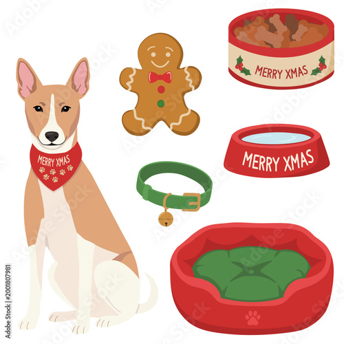Cute Basenji Dog Christmas Illustration Set with Festive Bandana and Pet Bed on a transparent background