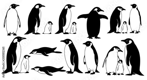 Tableau sur toile Penguin Family and Friends Collection: Diverse Poses, Black and White Vector Art