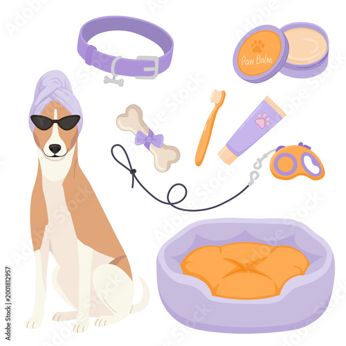 Dog Spa Day and Grooming Accessories Set with Cute Basenji Dog Wearing Head Towel and Sunglasses, Purple Pet Bed, Collar, and Care Products, Flat Vector Illustration on a transparent background