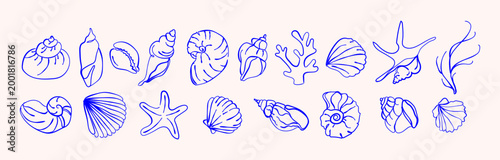 Hand drawn sea shell collection with nautilus shells, scallops, conch, starfish, coral, and marine botanical elements in line art style for coastal branding, beach invitations, summer packaging.Vector