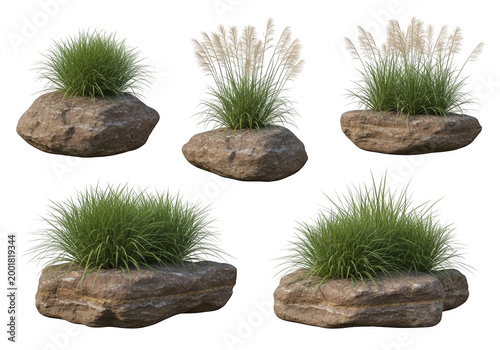 Four small rocks with grassy plants growing naturally on top of each