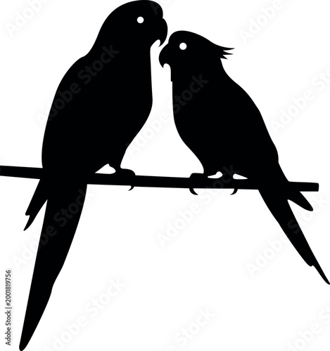 Bird silhouette on branch with white background