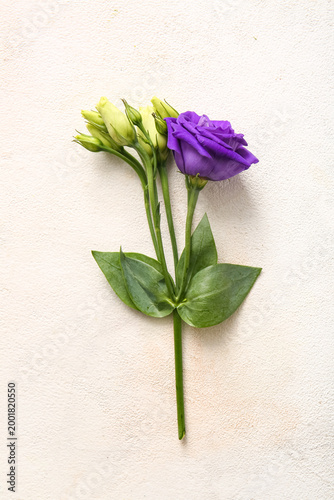 Fresh eustoma flowers on li...