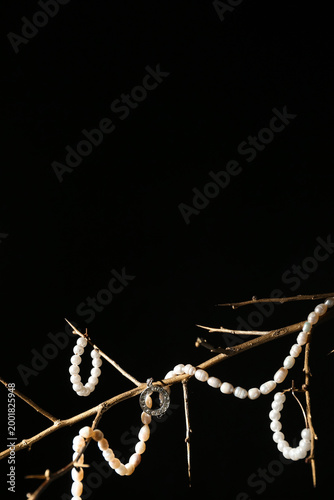 Tree branch with pearl jewe...