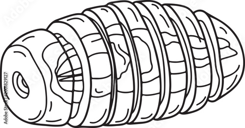 Sliced Yam Root with Visible Rings in a Clean White Background