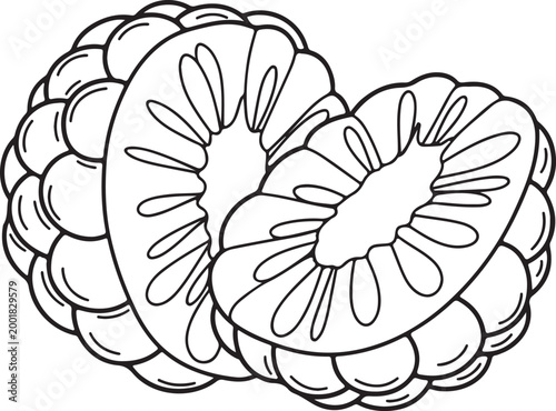 Two raspberries one whole and one sliced in half rendered in a clean outline drawing style on a white background