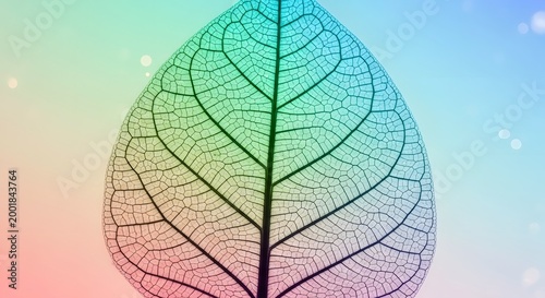 Transparent leaf against a gradient background with soft colors and details