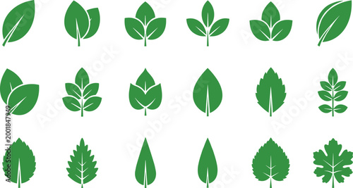 Leaf Vector Set Featuring Various Green Leaf Shapes, Organic Designs, and Natural Icons for Digital Design.