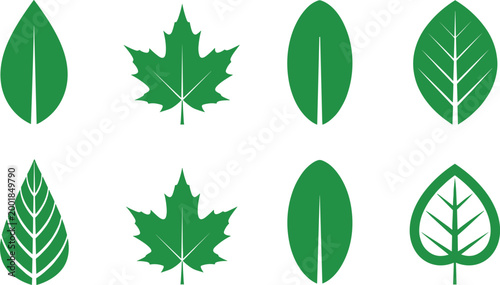 Leaf Vector Set Featuring Various Leaf Shapes and Green Leaf Designs for Digital Design.