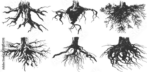Detailed hand drawn tree roots and trunks sketch collection in vintage engraved style vector illustration.