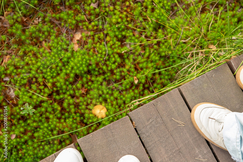 Person standing on a wooden eco path in a forest. Feet in sneakers on a boardwalk trail over mossy ground. Outdoor hike in nature, ecotourism and sustainable travel concept.