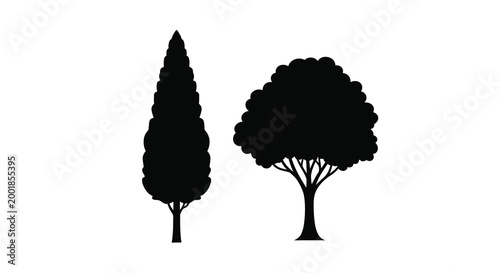 two tree silhouettes on white background silhouette high quality professional